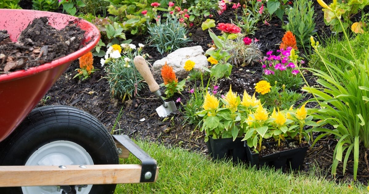 LaMontagne spring yard