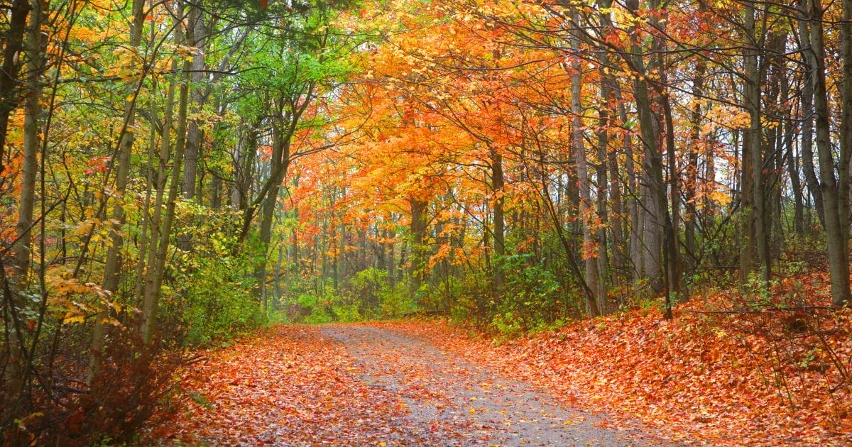 Getting to Know Londonderry, New Hampshire LaMontagne Builders