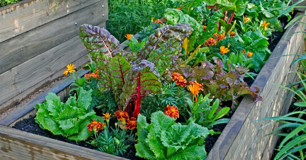 spring garden new hampshire homes