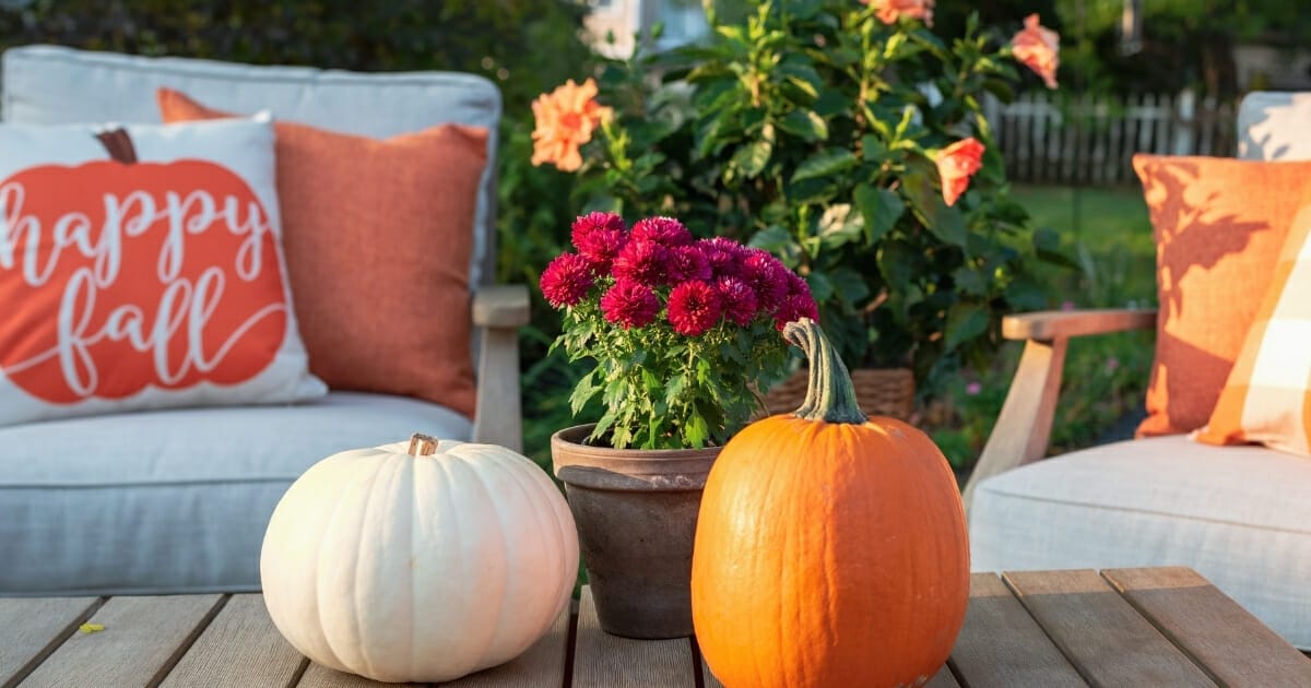fall gardening new hampshire